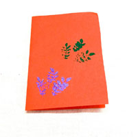 Orange Greeting Card (16 Nos)